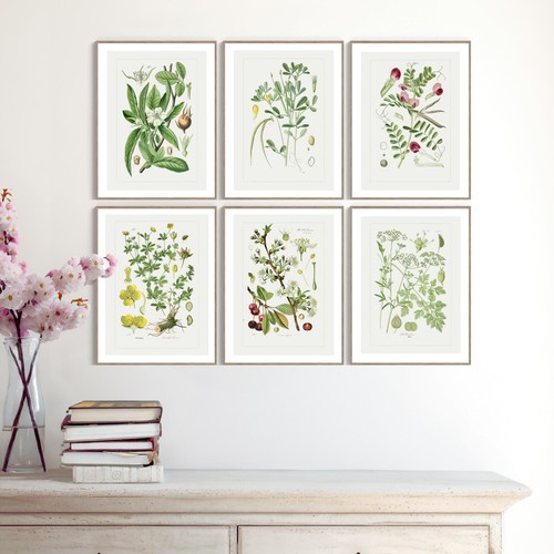 Set kitchen garden - of,