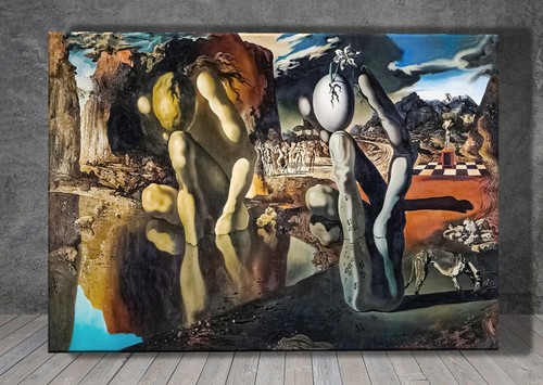 Salvador dali metamorphosis - dali, of