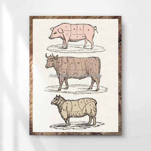 Butcher vintage antique meat - antique,