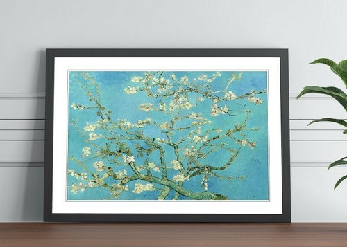 Van gogh almond - gogh,