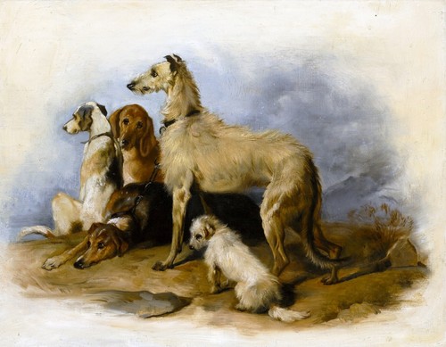 Dogs vintage painting antique - painting,